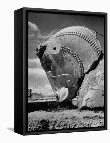 Head of Bull in Ruins of the Ancient Royal City of the Persian Empire-Dmitri Kessel-Framed Premier Image Canvas