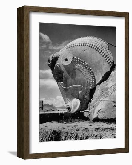 Head of Bull in Ruins of the Ancient Royal City of the Persian Empire-Dmitri Kessel-Framed Photographic Print