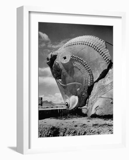Head of Bull in Ruins of the Ancient Royal City of the Persian Empire-Dmitri Kessel-Framed Photographic Print