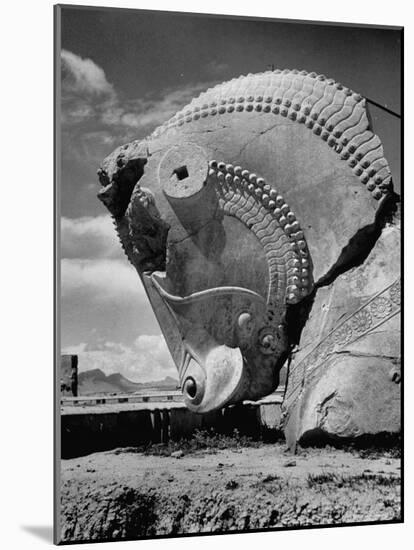 Head of Bull in Ruins of the Ancient Royal City of the Persian Empire-Dmitri Kessel-Mounted Photographic Print