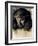 Head of Christ, circa 1890-Franz von Stuck-Framed Giclee Print