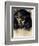 Head of Christ, circa 1890-Franz von Stuck-Framed Giclee Print