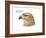 Head of Common Buzzard (Buteo Buteo), Birds-Encyclopaedia Britannica-Framed Art Print