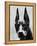 Head of Doberman Pinscher-Henry Horenstein-Framed Premier Image Canvas