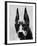 Head of Doberman Pinscher-Henry Horenstein-Framed Photographic Print