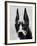 Head of Doberman Pinscher-Henry Horenstein-Framed Photographic Print