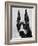 Head of Doberman Pinscher-Henry Horenstein-Framed Photographic Print