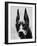 Head of Doberman Pinscher-Henry Horenstein-Framed Photographic Print