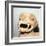 Head of Monster on Pot, from Ecuador, Pre Columbian-Unknown-Framed Giclee Print