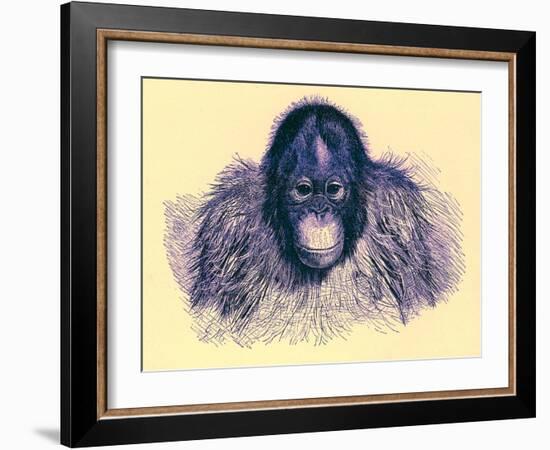 Head of Orang, Illustration from 'The Royal Natural History', Published 1896-English-Framed Giclee Print