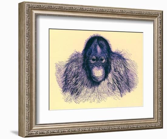 Head of Orang, Illustration from 'The Royal Natural History', Published 1896-English-Framed Giclee Print