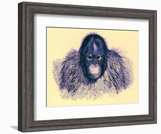 Head of Orang, Illustration from 'The Royal Natural History', Published 1896-English-Framed Giclee Print