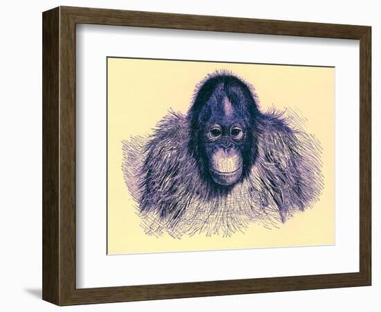 Head of Orang, Illustration from 'The Royal Natural History', Published 1896-English-Framed Giclee Print