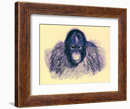 Head of Orang, Illustration from 'The Royal Natural History', Published 1896-English-Framed Giclee Print