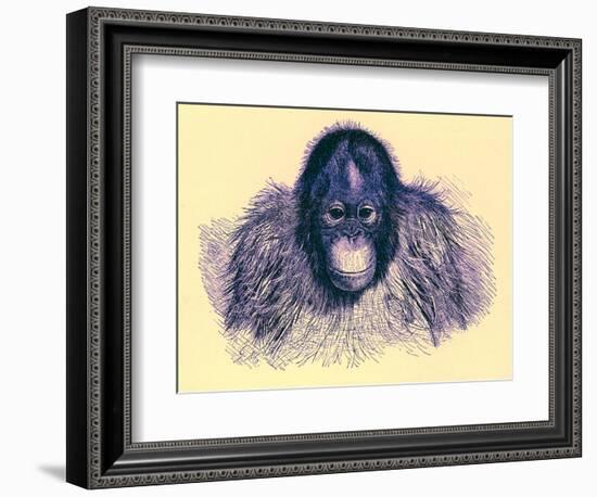 Head of Orang, Illustration from 'The Royal Natural History', Published 1896-English-Framed Giclee Print