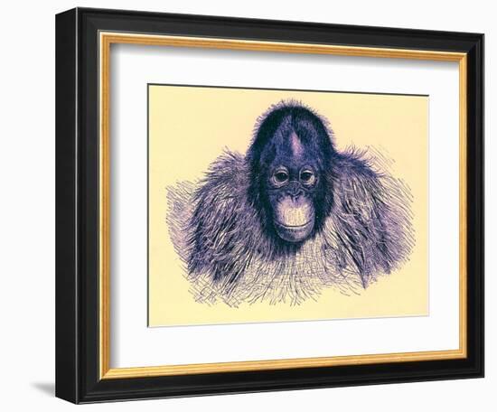 Head of Orang, Illustration from 'The Royal Natural History', Published 1896-English-Framed Giclee Print