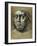 Head of Pope Leo X-Giulio Romano-Framed Giclee Print