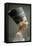 Head of Queen Nefertiti of Egypt. Artist: Unknown-Unknown-Framed Premier Image Canvas