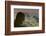 Head of Statue of Christ the Redeemer, Corcovado, Rio De Janeiro, Brazil, South America-Angelo-Framed Photographic Print