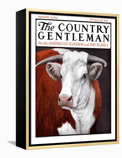 "Head of Steer," Country Gentleman Cover, September 22, 1923-Charles Bull-Framed Premier Image Canvas