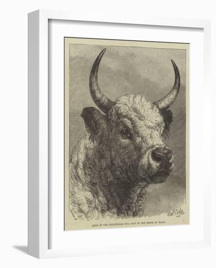 Head of the Chillingham Bull Shot by the Prince of Wales-Samuel John Carter-Framed Giclee Print