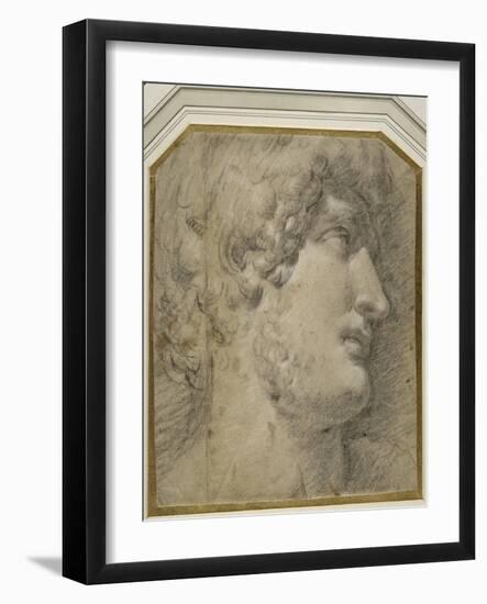 Head of the Emperor Gallienus (Or ?Hadrian), after the Antique-Annibale Carracci-Framed Giclee Print