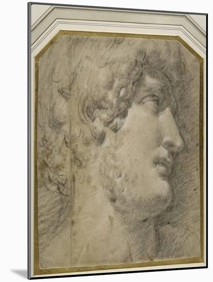 Head of the Emperor Gallienus (Or ?Hadrian), after the Antique-Annibale Carracci-Mounted Giclee Print