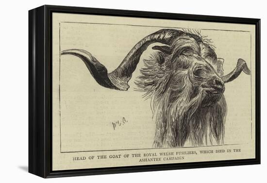 Head of the Goat of the Royal Welsh Fusiliers, Which Died in the Ashantee Campaign-William Edward Atkins-Framed Premier Image Canvas