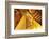 Head of the Large Reclining Buddha-Jean-Pierre De Mann-Framed Photographic Print