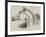 Head of The Queen of Beauty, Behnes Sculp-null-Framed Giclee Print