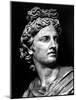 Head of the Statue of Apollo Known as the Belvedere-null-Mounted Photographic Print
