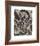 Head of van de Velde-Ernst Ludwig Kirchner-Framed Premium Giclee Print