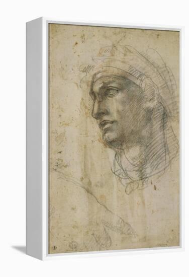 Head of Youth-Michelangelo-Framed Stretched Canvas