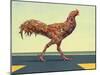 Head-on Chicken-James W Johnson-Mounted Giclee Print