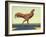 Head-on Chicken-James W Johnson-Framed Giclee Print