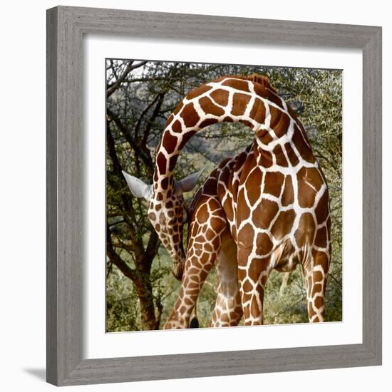 Head over Heels, Sarara, 2017-Eric Meyer-Framed Photographic Print