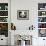 Head Portrait of a Giant Panda Bifengxia Giant Panda Breeding and Conservation Center, China-Eric Baccega-Framed Photographic Print displayed on a wall