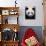Head Portrait of a Giant Panda Bifengxia Giant Panda Breeding and Conservation Center, China-Eric Baccega-Photographic Print displayed on a wall