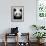 Head Portrait of a Giant Panda Bifengxia Giant Panda Breeding and Conservation Center, China-Eric Baccega-Framed Photographic Print displayed on a wall