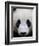 Head Portrait of a Giant Panda Bifengxia Giant Panda Breeding and Conservation Center, China-Eric Baccega-Framed Photographic Print