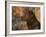 Head Profile Portrait of Chesapeake Bay Retriever, Wisconsin, USA-Lynn M. Stone-Framed Photographic Print