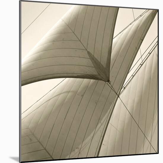 Head Sails of a Schooner-Michael Kahn-Mounted Giclee Print