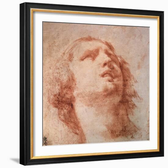 Head Study of a Woman Looking Up, 17th Century-Pietro da Cortona-Framed Giclee Print