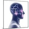 Head with Network Diagram-PASIEKA-Mounted Premium Photographic Print