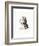 Headdress, Early 16th Century-Henry Shaw-Framed Giclee Print