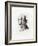 Headdress, Early 16th Century-Henry Shaw-Framed Giclee Print