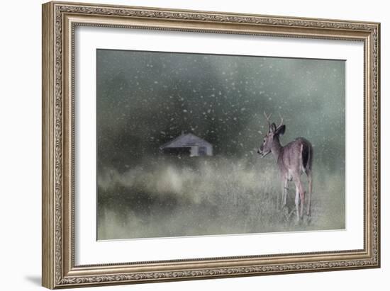 Heading Home in the First Snow-Jai Johnson-Framed Giclee Print