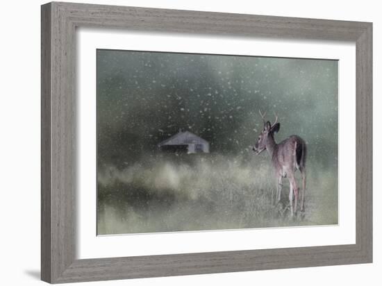 Heading Home in the First Snow-Jai Johnson-Framed Giclee Print