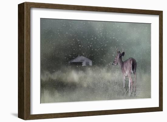 Heading Home in the First Snow-Jai Johnson-Framed Giclee Print