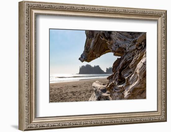 Headland at La Push Beach in the the Pacific Northwest, Washington State, United States of America,-Martin Child-Framed Photographic Print